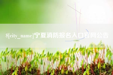 醴陵宁夏消防报名入口官网公告