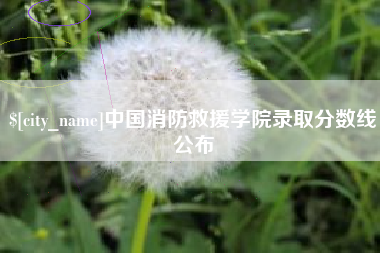 醴陵中国消防救援学院录取分数线公布