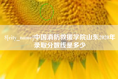 醴陵中国消防救援学院山东2020年录取分数线是多少