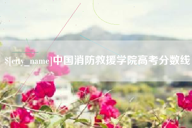 醴陵中国消防救援学院高考分数线