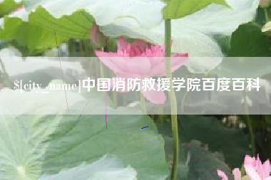 醴陵中国消防救援学院百度百科