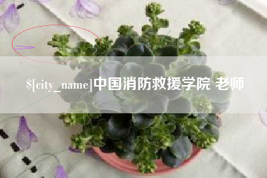 醴陵中国消防救援学院 老师