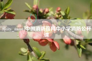醴陵中国消防官网中小学消防公开课