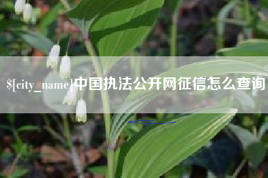 醴陵中国执法公开网征信怎么查询