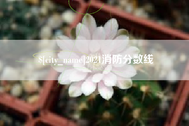 醴陵2021消防分数线