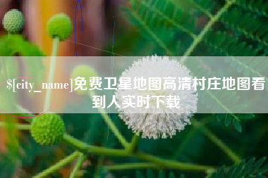 醴陵免费卫星地图高清村庄地图看到人实时下载