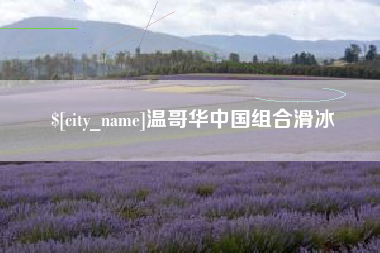 醴陵温哥华中国组合滑冰
