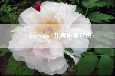 醴陵九宫排盘方法