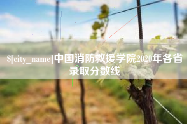 醴陵中国消防救援学院2020年各省录取分数线