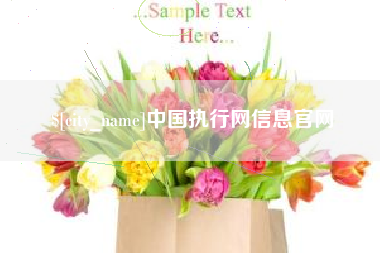 醴陵中国执行网信息官网