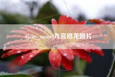 醴陵九宫格龙图片