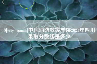 醴陵中国消防救援学院2021年四川录取分数线是多少