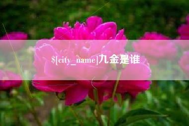 醴陵九金是谁