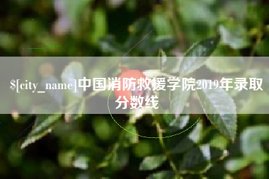 醴陵中国消防救援学院2019年录取分数线