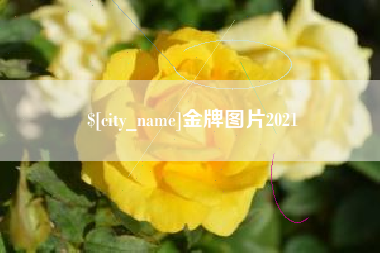 醴陵金牌图片2021