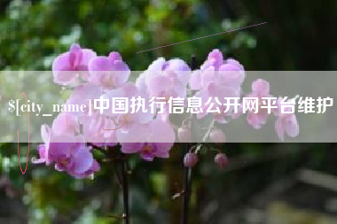醴陵中国执行信息公开网平台维护