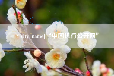 醴陵“中国执行公开网”