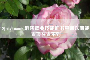 醴陵消防职业技能证书查询以前能查现在查不到