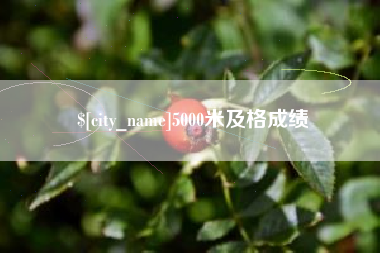 醴陵5000米及格成绩