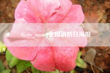 醴陵全国消防日海报