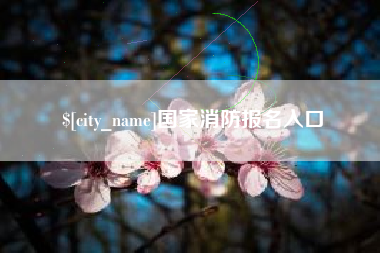 醴陵国家消防报名入口