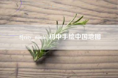 醴陵初中手绘中国地图
