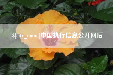 醴陵中国执行信息公开网后