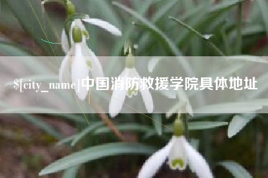 醴陵中国消防救援学院具体地址