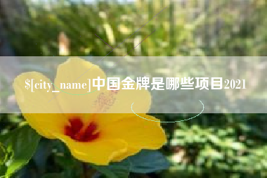 醴陵中国金牌是哪些项目2021