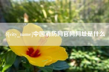 醴陵中国消防网官网网址是什么