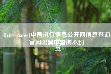 醴陵中国执行信息公开网信息查询官网限消中查询不到