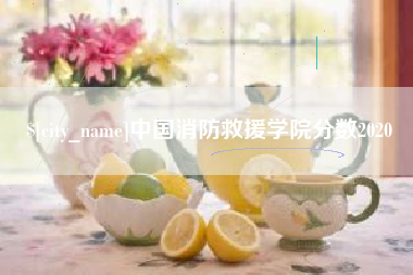 醴陵中国消防救援学院分数2020