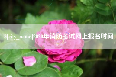 醴陵2020年消防考试网上报名时间