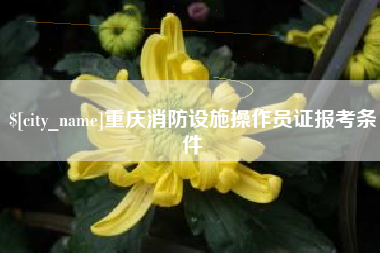 醴陵重庆消防设施操作员证报考条件