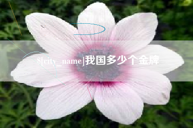 醴陵我国多少个金牌