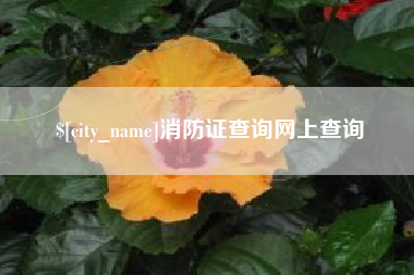 醴陵消防证查询网上查询