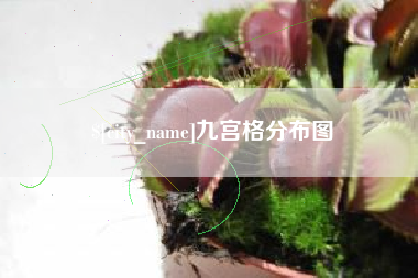 醴陵九宫格分布图