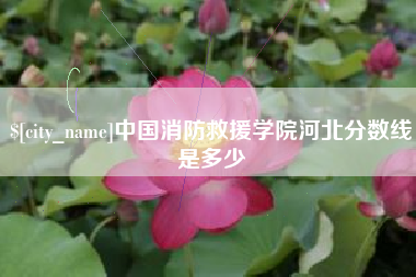 醴陵中国消防救援学院河北分数线是多少