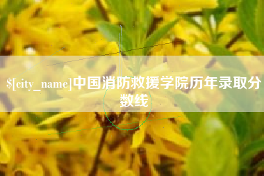 醴陵中国消防救援学院历年录取分数线