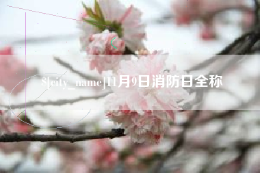 醴陵11月9日消防日全称