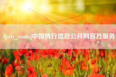 醴陵中国执行信息公开网官方服务