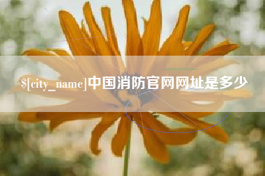 醴陵中国消防官网网址是多少