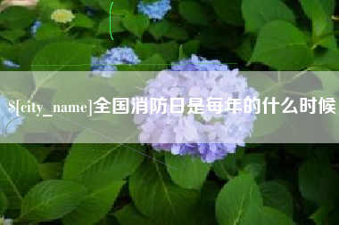 醴陵全国消防日是每年的什么时候