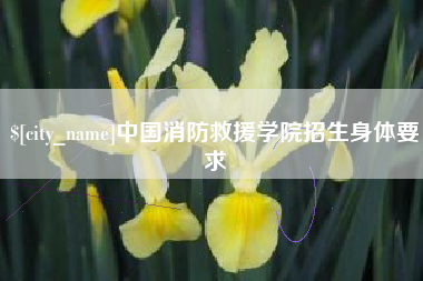 醴陵中国消防救援学院招生身体要求