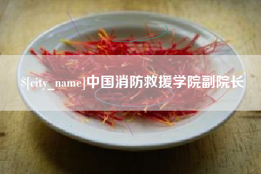醴陵中国消防救援学院副院长