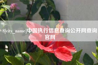 醴陵中国执行信息查询公开网查询官网