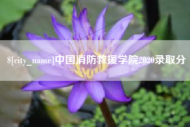 醴陵中国消防救援学院2020录取分