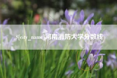 醴陵河南消防大学分数线