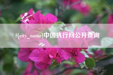 醴陵中国执行网公开查询