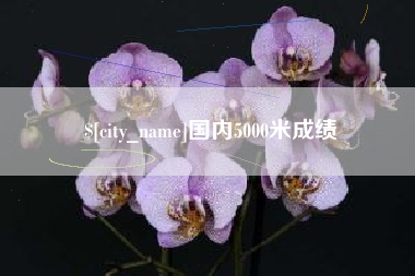 醴陵国内5000米成绩